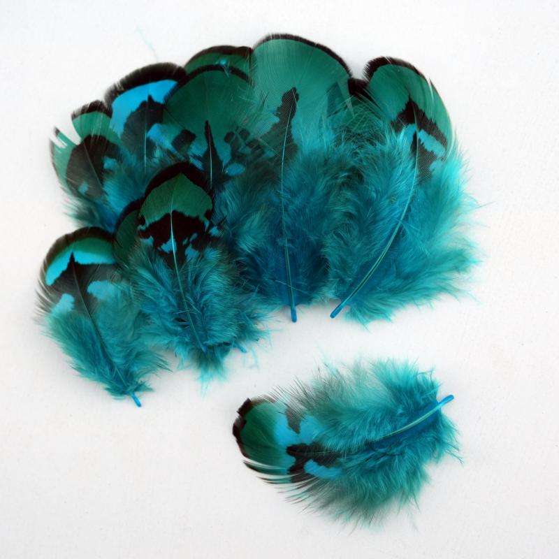 Natural DIY Pheasant Feathers  – Wedding Supply Bulk Bewertung und Preis