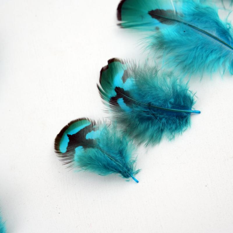 Natural DIY Pheasant Feathers  – Wedding Supply Bulk Bewertung und Preis