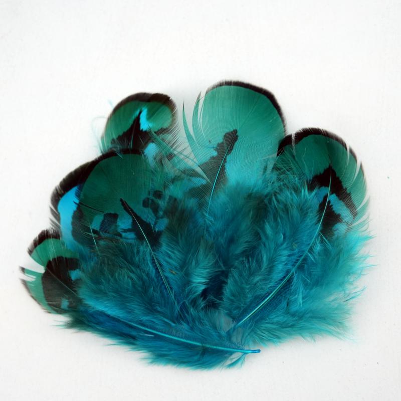 Natural DIY Pheasant Feathers  – Wedding Supply Bulk Bewertung und Preis