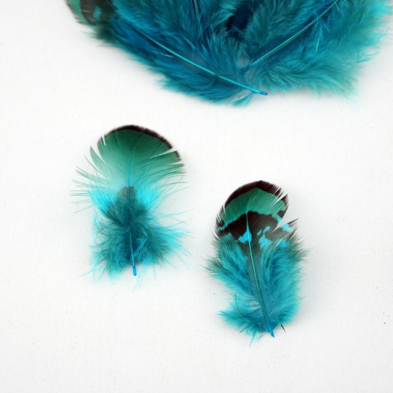 Natural DIY Pheasant Feathers  – Wedding Supply Bulk Bewertung und Preis