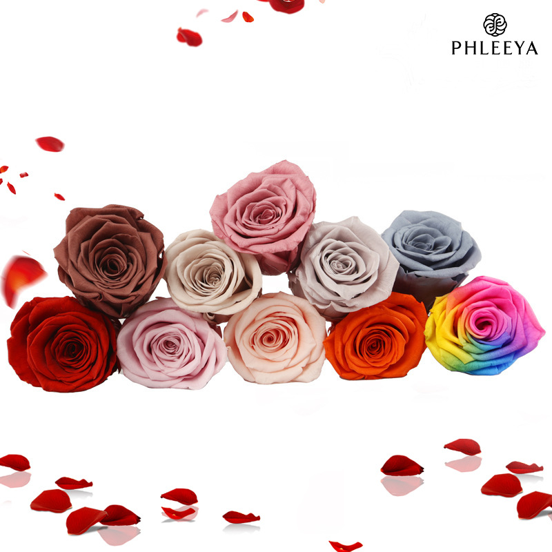 6pcs Eternal Rose Flower Heads – Wedding Supply Bulk Bewertung und Preis